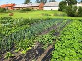 Bild 14 - 
