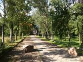 Bild 15 - 
