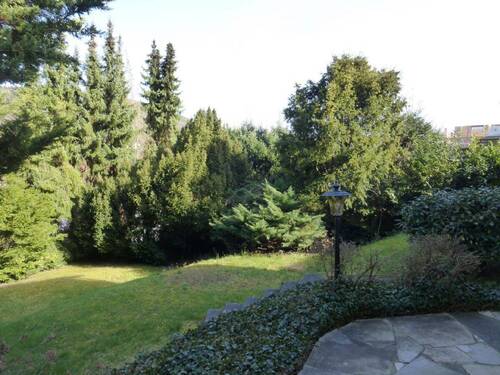 Blick in den Garten - 