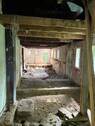 IMG_7536 - 