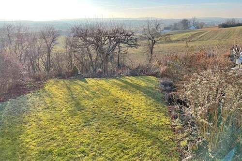 Blick in den Garten - 