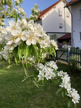 Garten 2 - Reihenendhaus mit 140,00 m&sup2; in Buchloe zum Kaufen