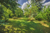 Garten (3) - 