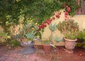 Bild 12 - 