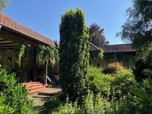 Gartenimpressionen - 