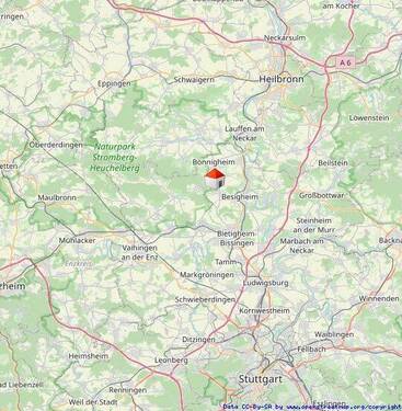 Lageplan fern - 