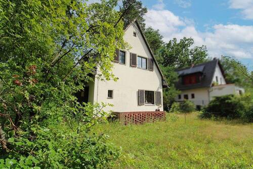 Außenansicht mit Garten (hinten) - 