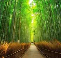 Großes Baugrundstück in Karlsruhe