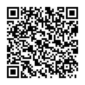 QR-Code - 