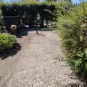 Bild 19 - 