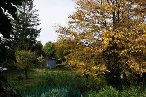 Großzügiger Garten - 
