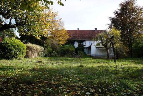 Großer Garten mit Baumbestand - 