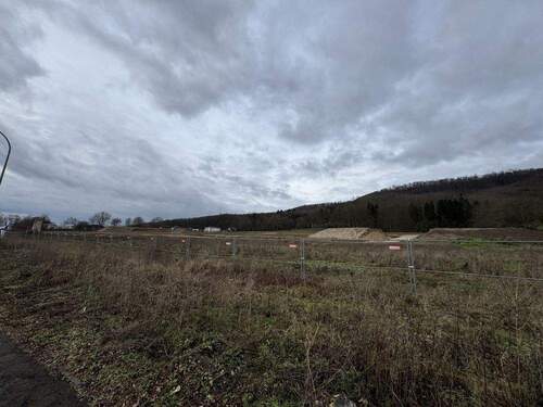 1 - Grundstück zum Kaufen in Rinteln