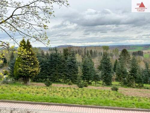 Ausblick - 9 Zimmer Mehrfamilienhaus, Wohnhaus zur Miete in Gornau/Erzgebirge