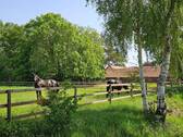 Weide - 