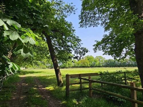 Weg zur Koppel - 