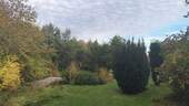 Blick zum Badteich - 