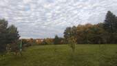 Obstgarten - 