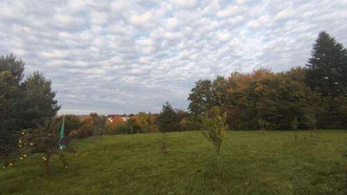 Obstgarten - 