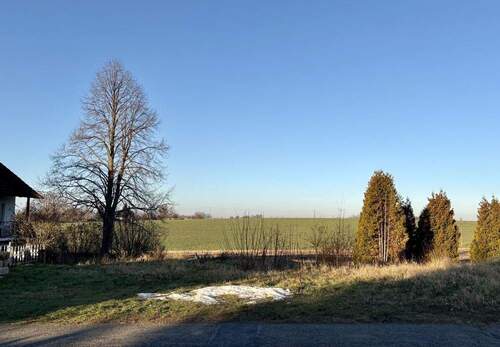 Grundstück Blickrichtung Süden - Bieleborner Hasenblick 