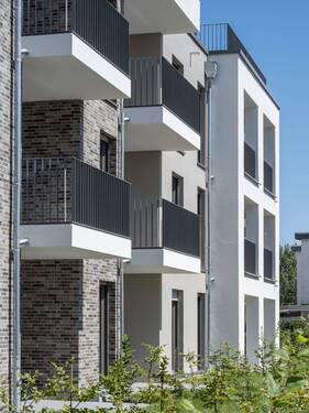 Kennedys 9 - 