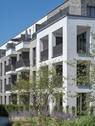 Kennedys 11 - 
