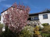 Garten4.jpg - 
