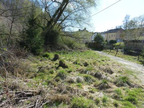 OverathBach.JPG - 