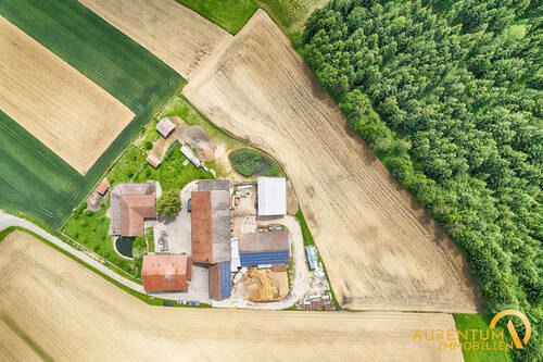 Außenansicht - Großzügiges Anwesen mit Nebengebäuden und Feld zu verkaufen!