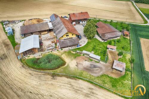 Außenansicht - Einfamilienhaus mit 280,00 m² in Eichendorf zum Kaufen