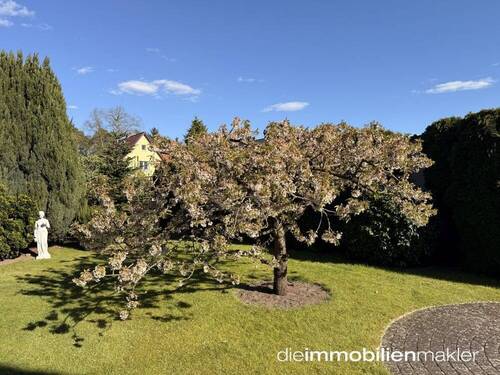 Gartenimpressionen - 