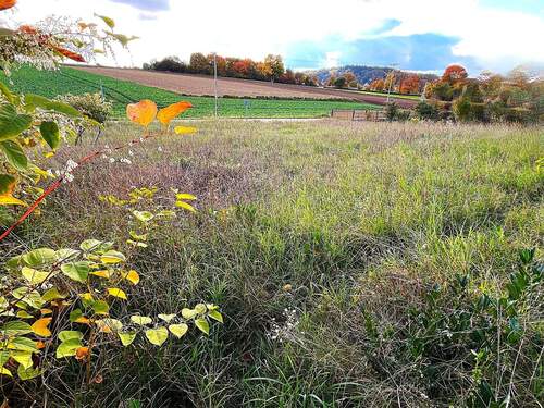 Grundstück - Attraktives Grundstück in ÖdenthalZeitlarn – Ideal für Ihr Traumhaus