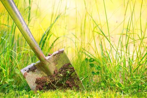 Spaten in Erde - Grüner Garten - Leingarten: - Baugelegenheit - Großzügiges Abrissgrundstück in guter Lage!
