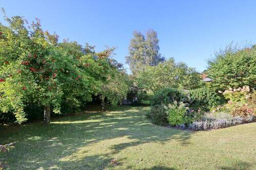 Garten hinten - 