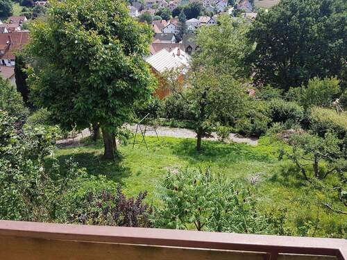 Herrlicher großer Garten - 