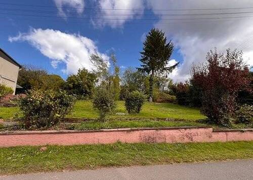 WhatsApp Bild 2024-12-28 um 13.24.00_e292cdbb - Grundstück in Steinwenden