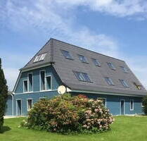 Exklusives Landhaus mit großer Scheune und viel Platz für Familie und Tiere - Klein Offenseth/Sparrieshoop