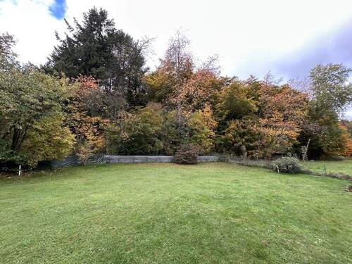 Blick in den Garten - 