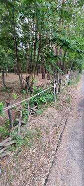 Bild 1 - *Erholungsgrundstück zu verkaufen!*