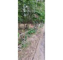 *Erholungsgrundstück zu verkaufen!* - Fichtenwalde