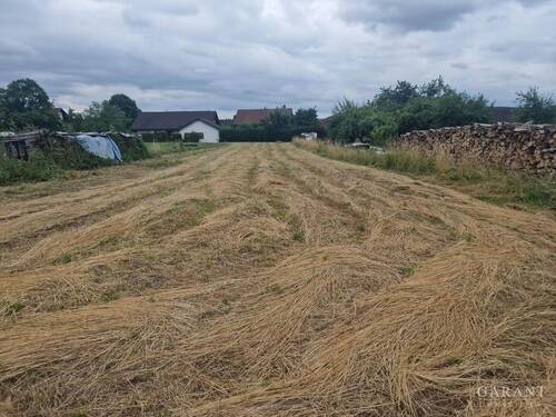 1000018203 - Grundstück zum Kaufen in Gundelsheim