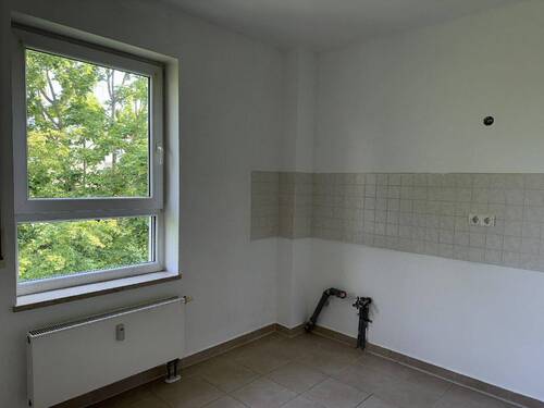 Kochen/Essen - 