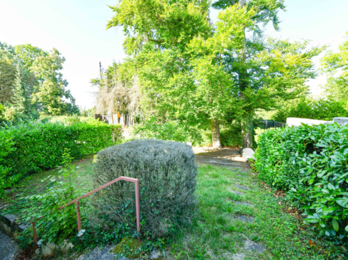 Garten - 
