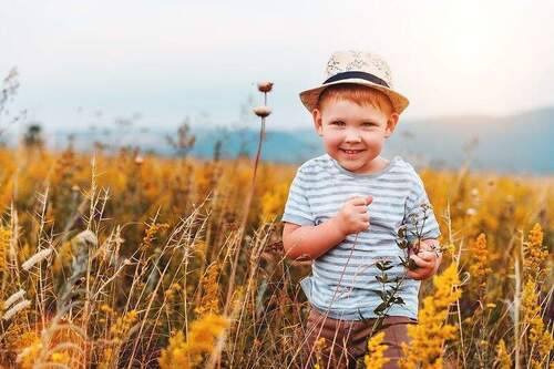 Haus-Familie-Garten-Serie-19 - 5 Zimmer Doppelhaushälfte in Braunschweig