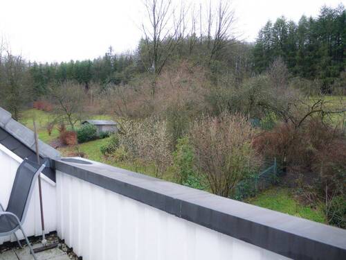 Ausblick - 