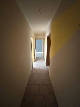 PHOTO-2025-03-27-09-45-14_5 - 