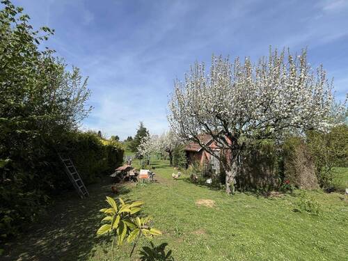 Garten - 