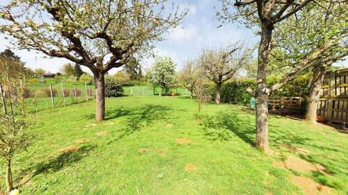 Garten mitte - Grundstück in Ludwigsburg zum Kaufen