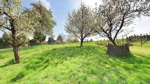 Garten oben - 