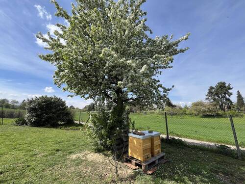 Garten unten - 